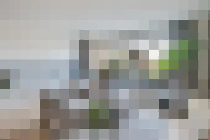Tjariet 28 Zwolle thumbnail 5