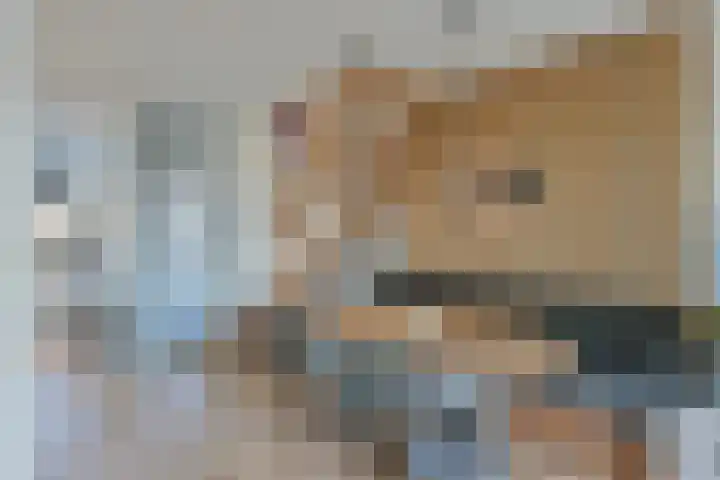 Tjariet 28 Zwolle thumbnail 8