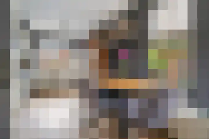 Tjariet 33 Veendam thumbnail 10