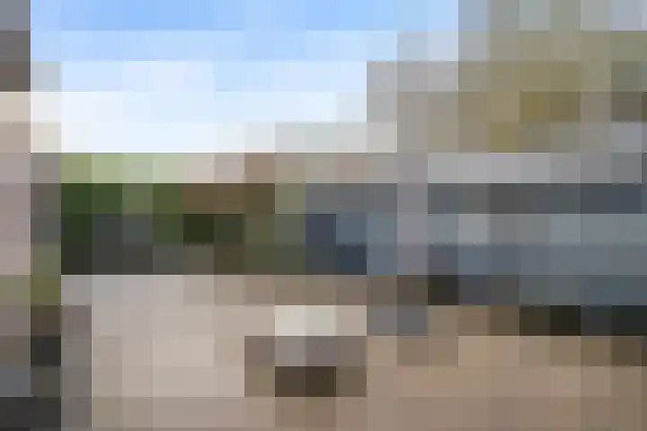 Tjariet 33 Veendam thumbnail 23