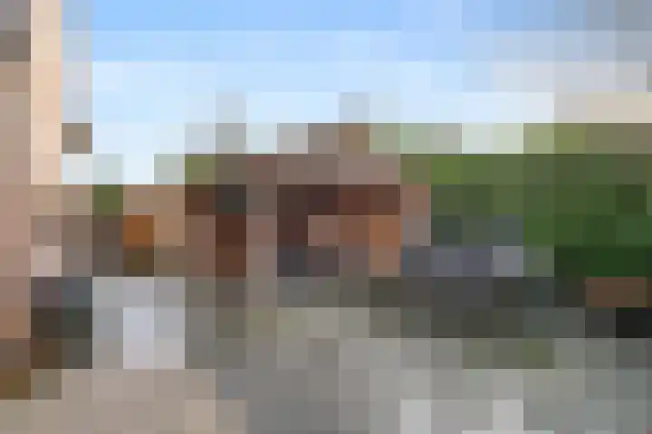 Tjariet 33 Veendam thumbnail 26
