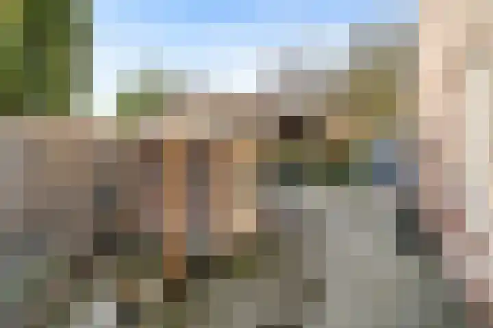 Tjariet 33 Veendam thumbnail 28