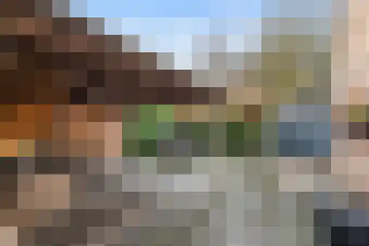 Tjariet 33 Veendam thumbnail 29