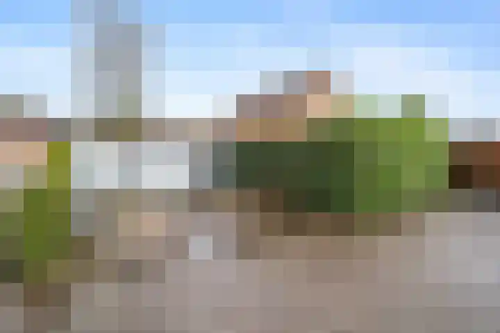 Tjariet 33 Veendam thumbnail 31
