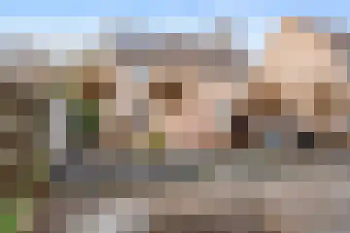 Tjariet 33 Veendam thumbnail 35