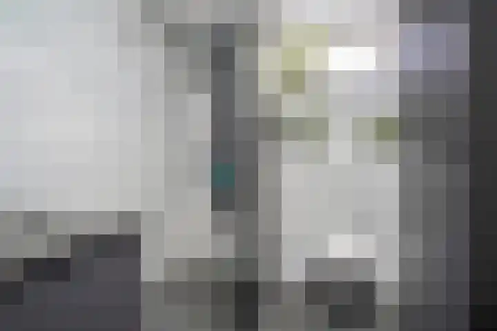 Tjariet 33 Veendam thumbnail 4