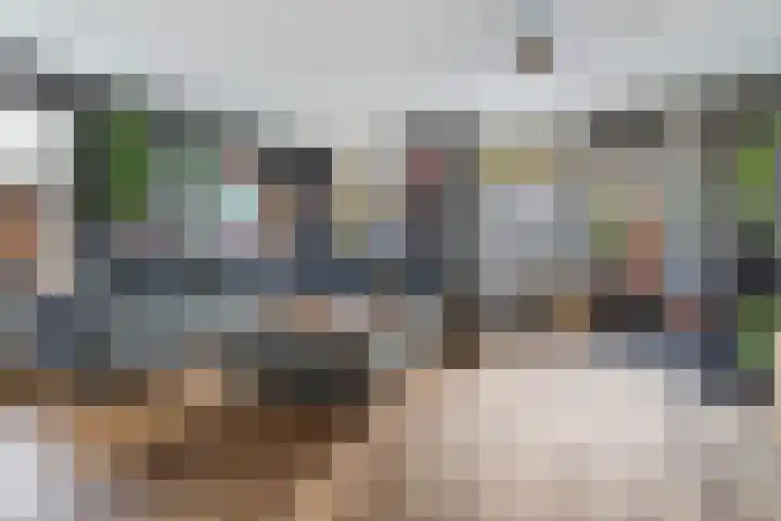 Tjariet 33 Veendam thumbnail 8