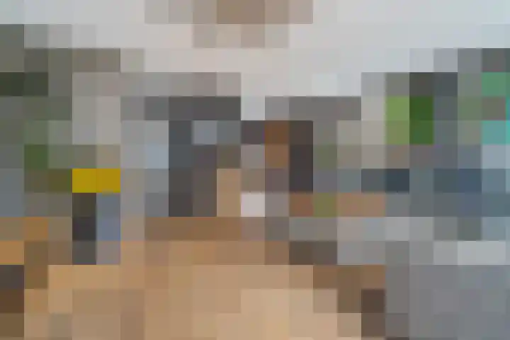 Tjariet 33 Veendam thumbnail 9
