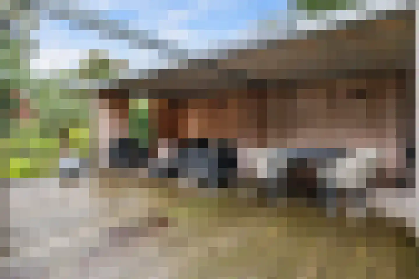 Tjariet 34 Veendam thumbnail 37