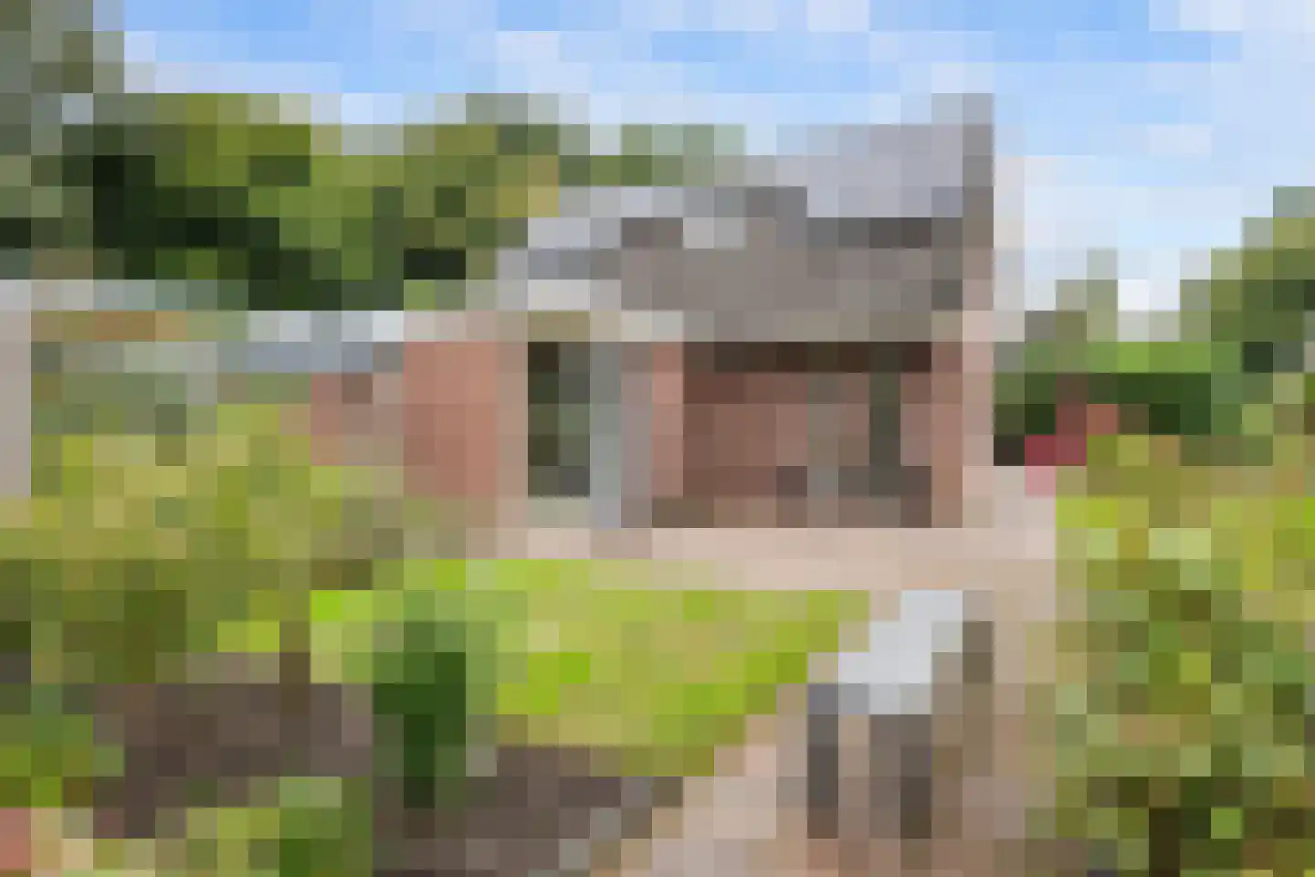 Tjariet 34 Veendam thumbnail 40