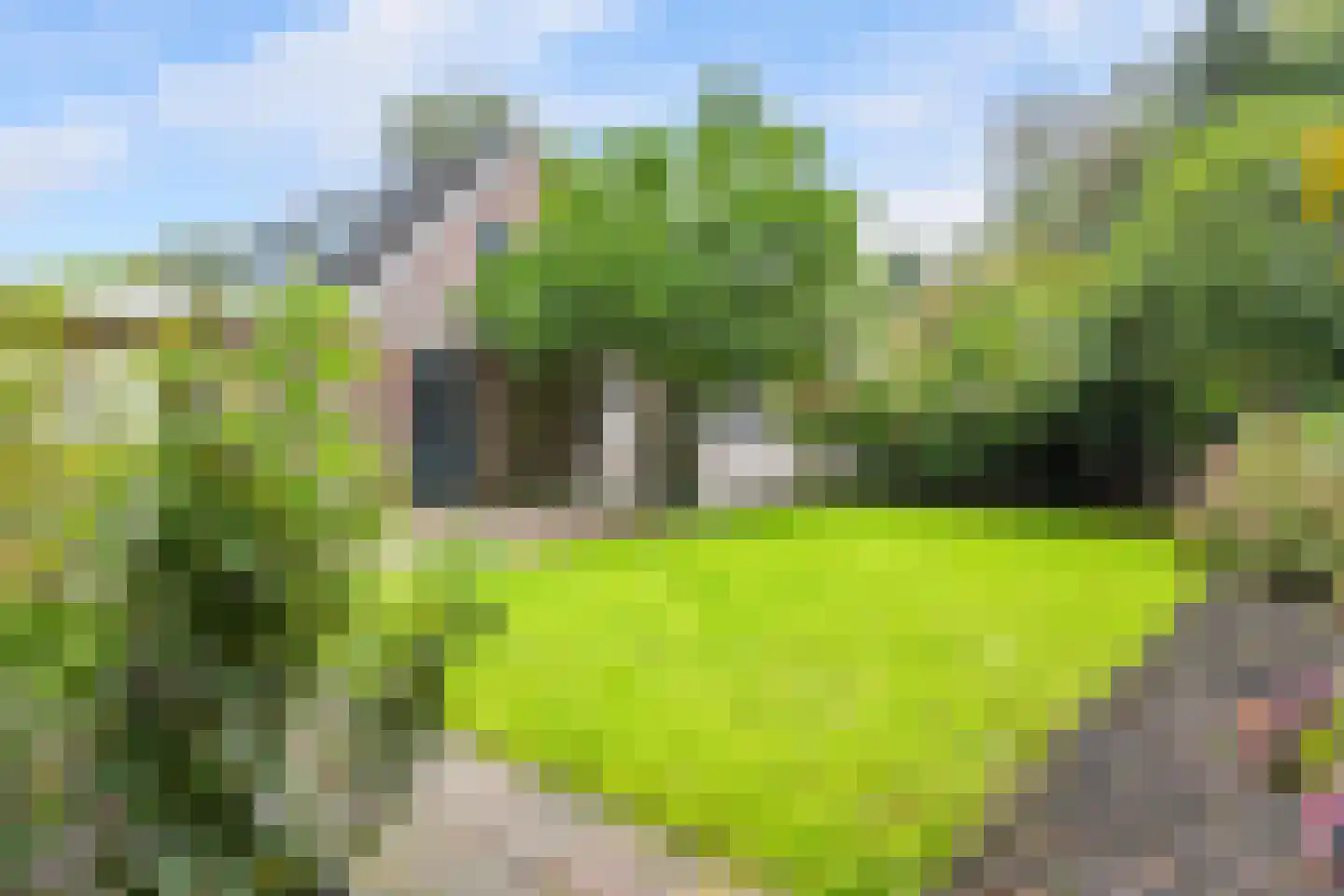 Tjariet 34 Veendam thumbnail 43