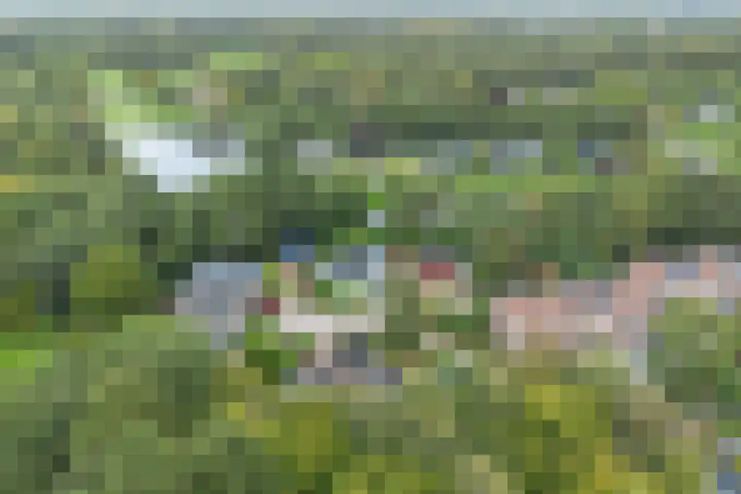 Tjariet 34 Veendam thumbnail 53