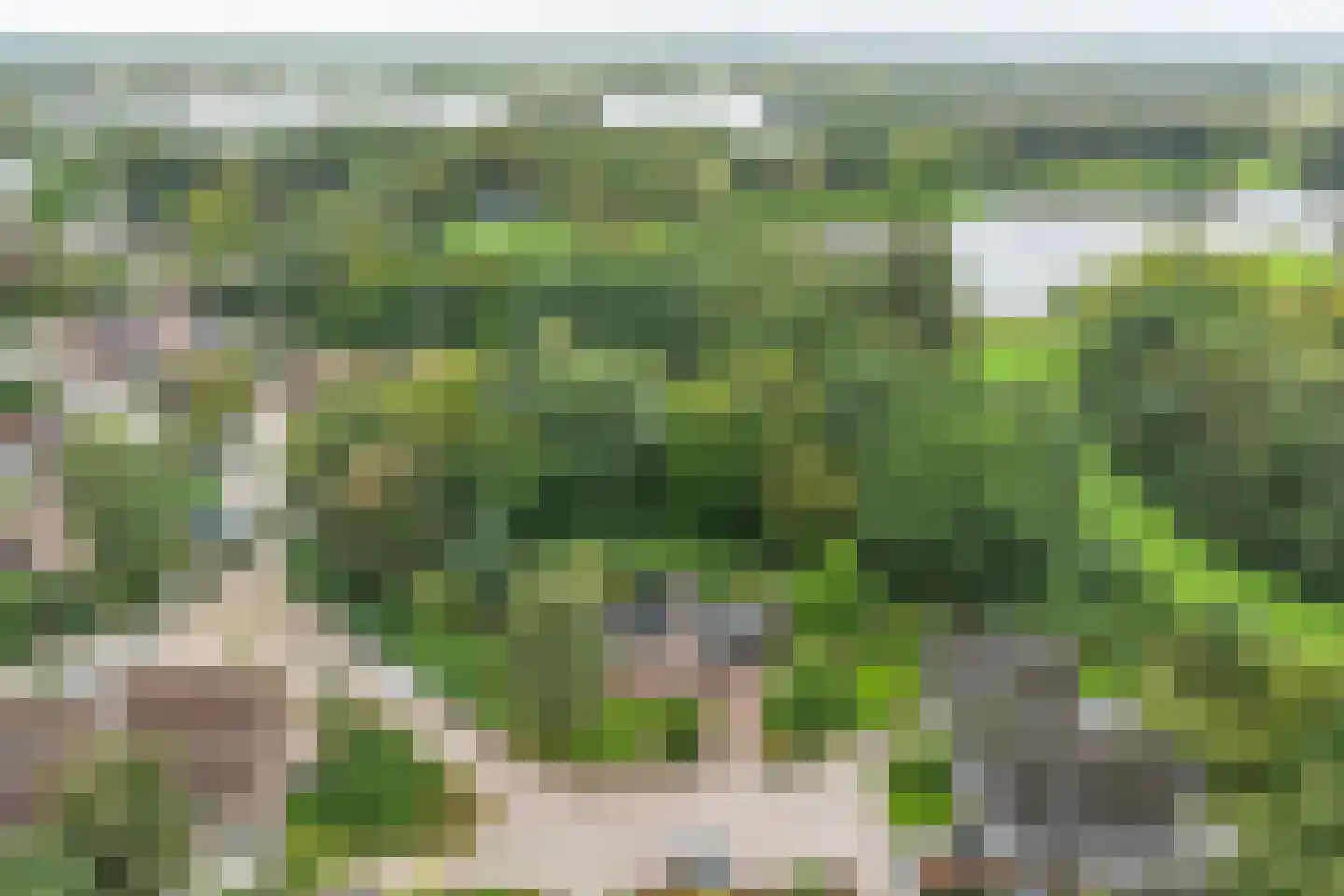 Tjariet 34 Veendam thumbnail 7