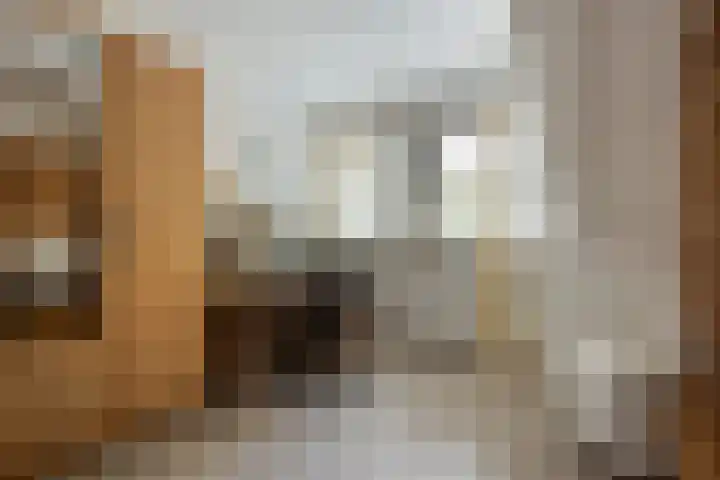 Tjariet 38 Veendam thumbnail 23