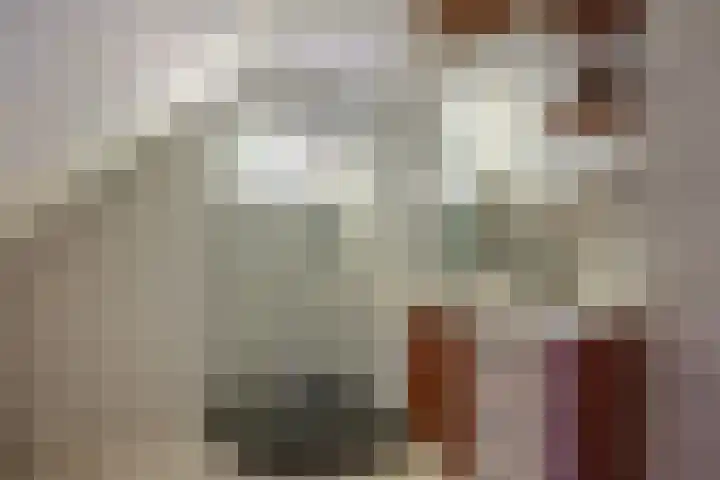 Tjariet 38 Veendam thumbnail 25