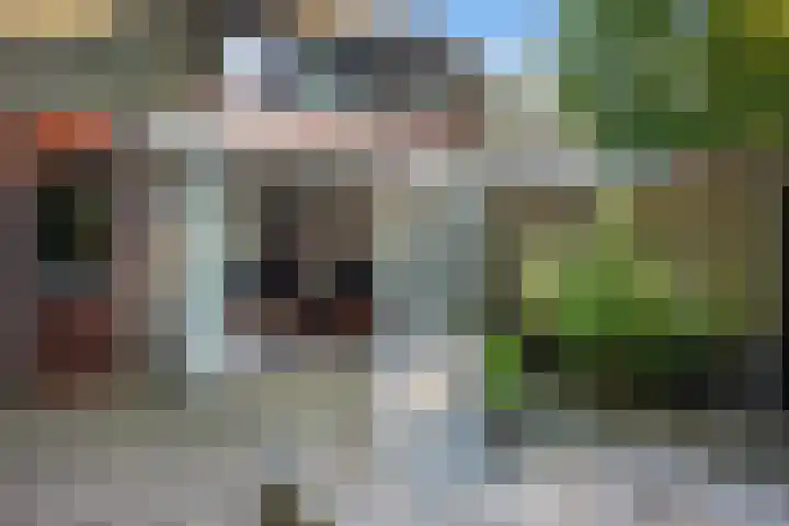 Tjariet 38 Veendam thumbnail 27