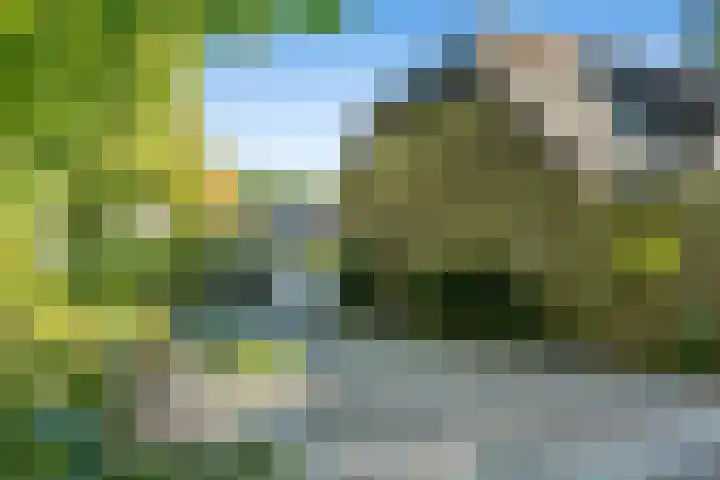 Tjariet 38 Veendam thumbnail 31