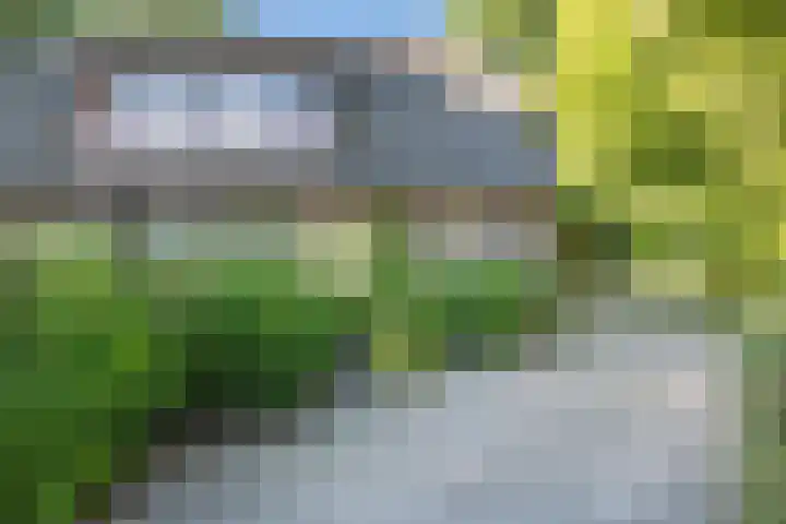 Tjariet 38 Veendam thumbnail 33