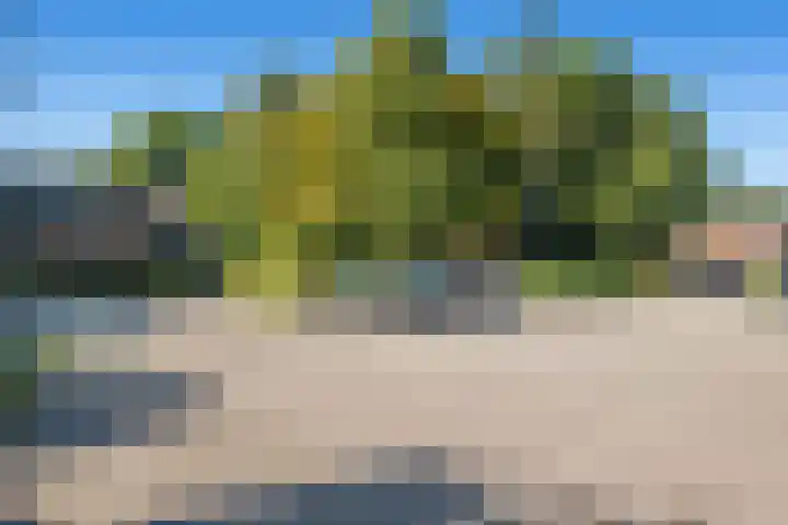 Tjariet 38 Veendam thumbnail 36