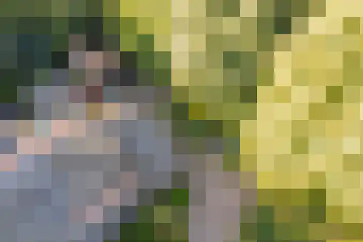 Tjariet 38 Veendam thumbnail 37