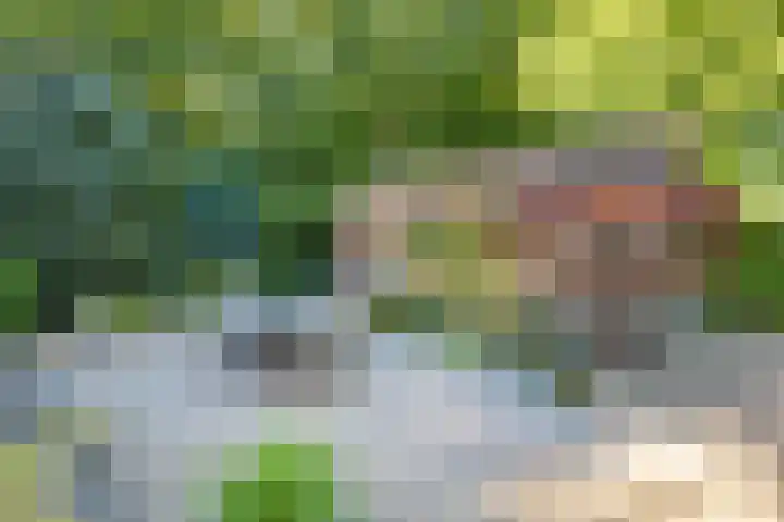 Tjariet 38 Veendam thumbnail 4