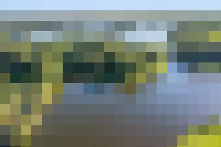 Tjariet 38 Veendam thumbnail 41