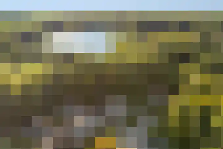 Tjariet 38 Veendam thumbnail 5