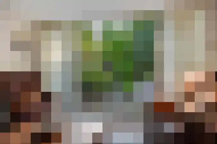 Tjariet 38 Veendam thumbnail 9
