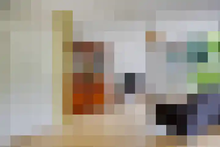 Tjariet 39 Veendam thumbnail 13