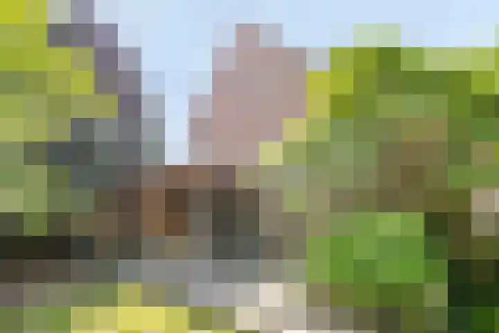 Tjariet 39 Veendam thumbnail 26