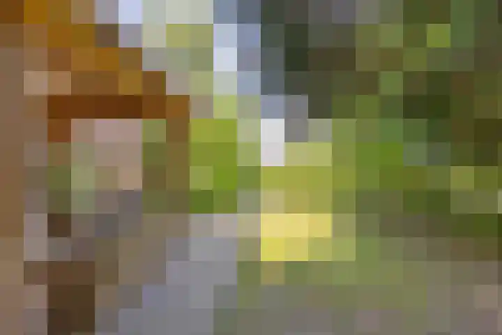 Tjariet 39 Veendam thumbnail 27