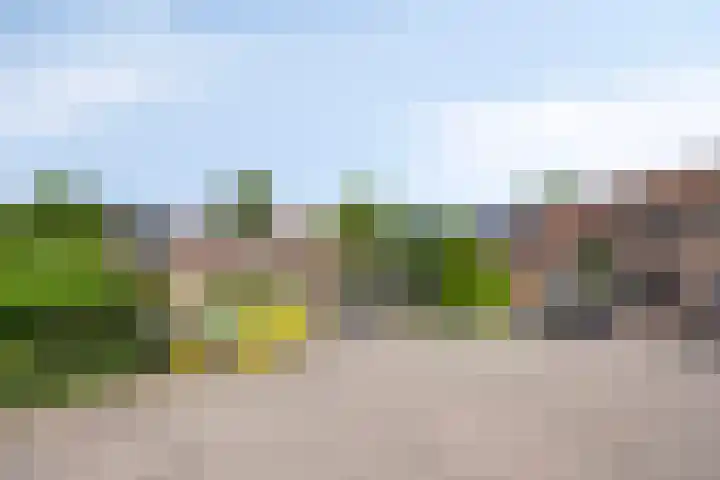 Tjariet 39 Veendam thumbnail 29