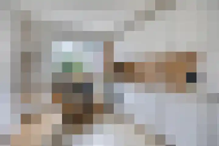 Tjariet 39 Veendam thumbnail 4