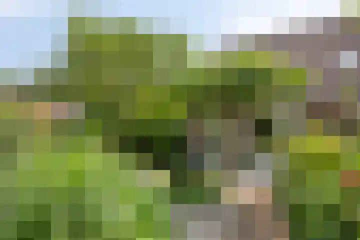 Tjariet 39 Veendam thumbnail 6