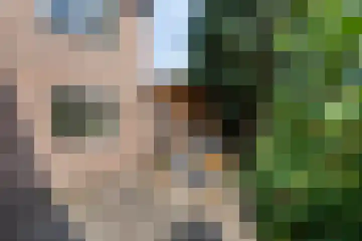 Tjariet 39 Veendam thumbnail 7