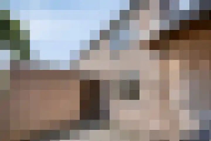 Tjariet 39 Veendam thumbnail 8