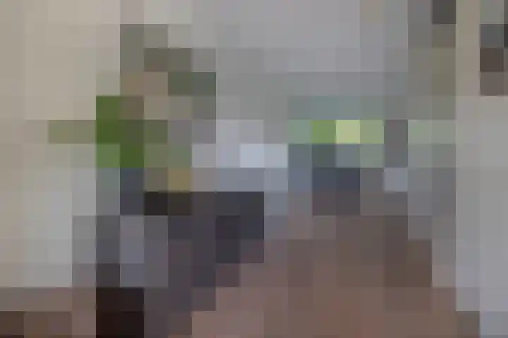 Tjariet 41 Groningen thumbnail 13