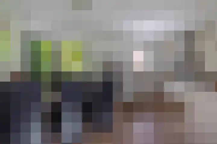 Tjariet 41 Groningen thumbnail 14