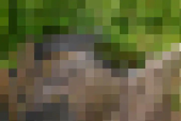 Tjariet 41 Groningen thumbnail 17