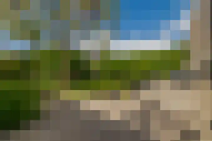 Tjariet 41 Groningen thumbnail 18