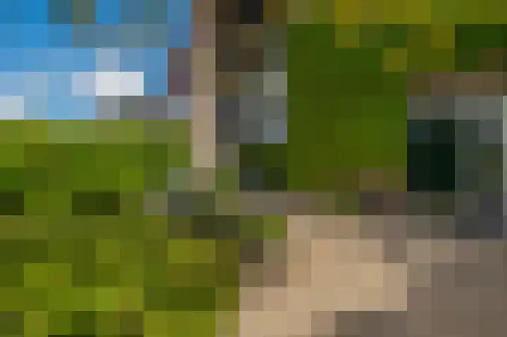 Tjariet 41 Groningen thumbnail 19