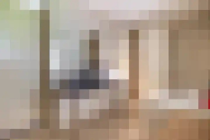Tjariet 41 Groningen thumbnail 27