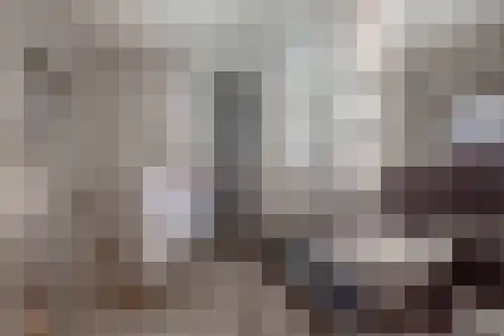 Tjariet 41 Groningen thumbnail 28