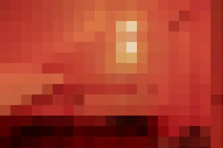 Tjariet 41 Groningen thumbnail 30