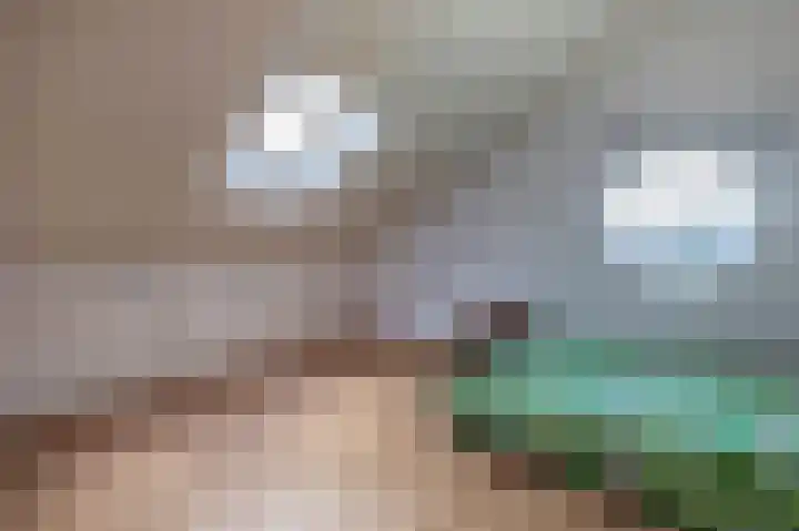 Tjariet 41 Groningen thumbnail 33