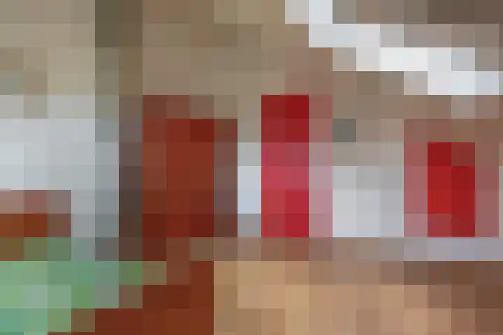 Tjariet 41 Groningen thumbnail 34