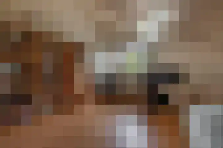 Tjariet 41 Groningen thumbnail 35
