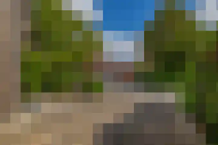 Tjariet 41 Groningen thumbnail 39
