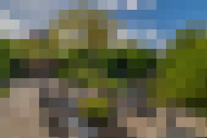 Tjariet 41 Groningen thumbnail 4
