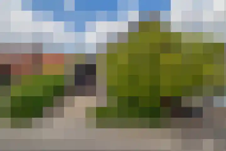 Tjariet 41 Groningen thumbnail 40